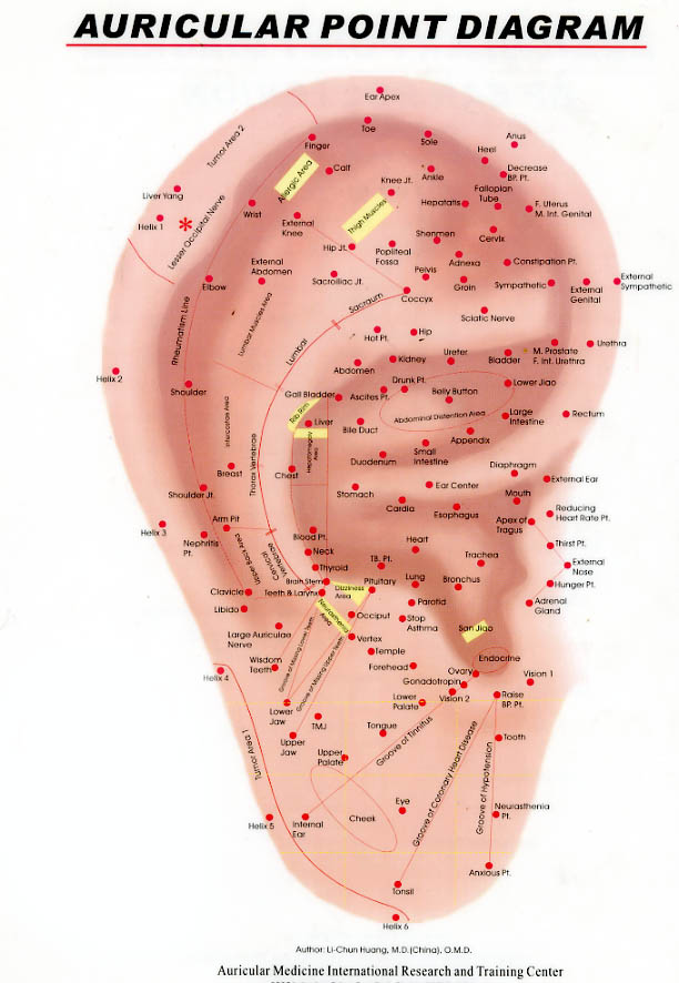 Acupuncture For Weight Loss New York City