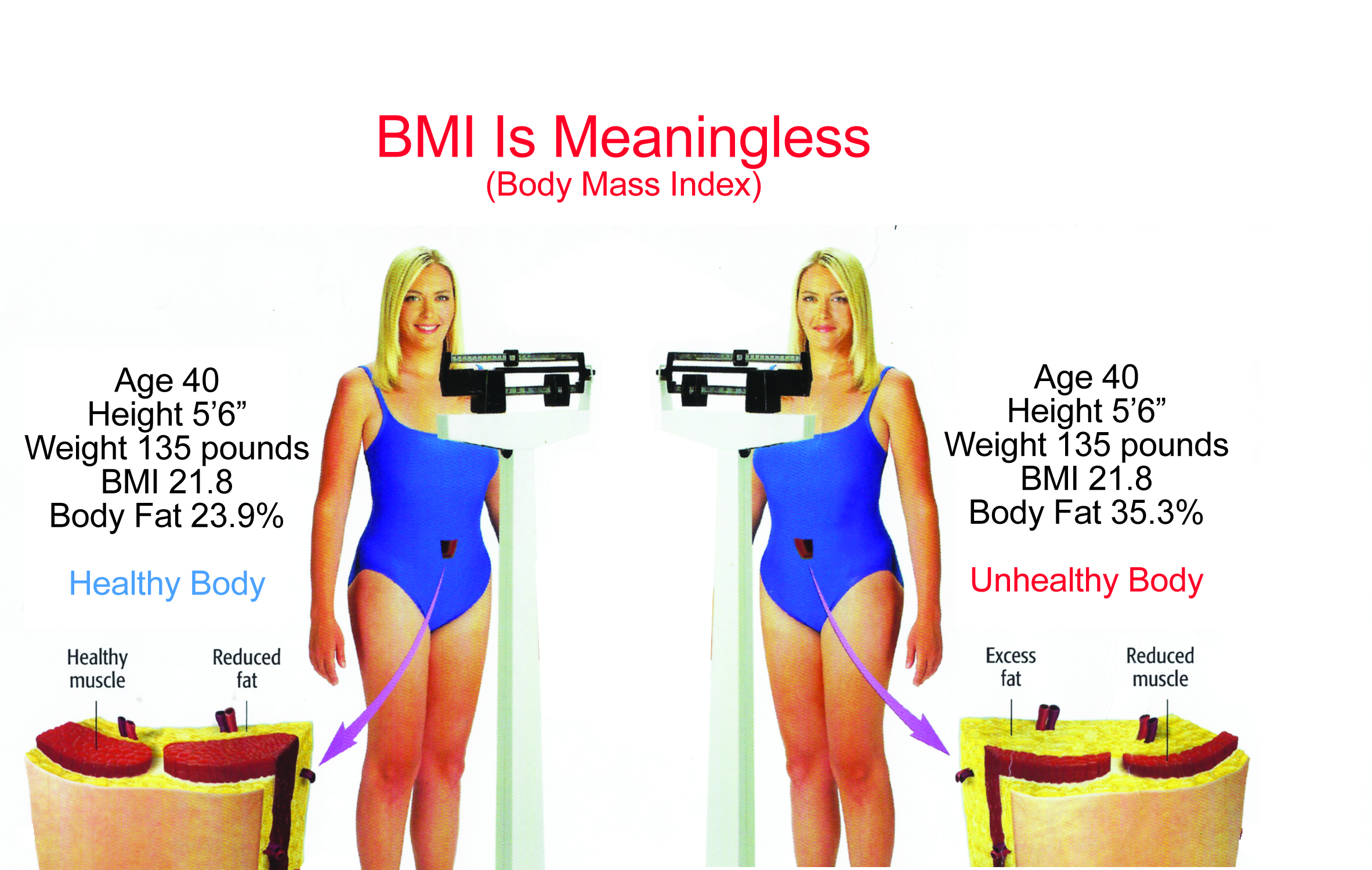 22 female bmi BMI Chart